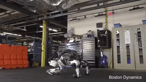 tulsimo giphygifmaker GIF
