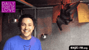 fruit bat love GIF by explore.org