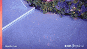 Cbs Love GIF by LoveIslandUSA