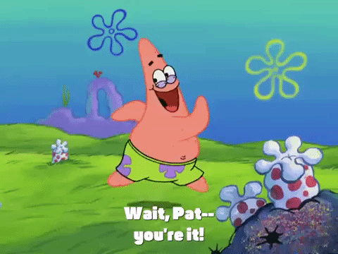 season 4 GIF by SpongeBob SquarePants