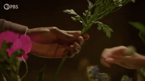 Episode 2 Love GIF by PBS