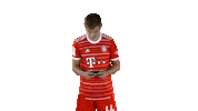 Video Games Football Sticker by FC Bayern Munich