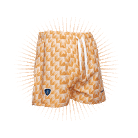 Uefa Euro Sticker by Swinkels Family Brewers