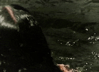 Waysides GIF by Bedouine