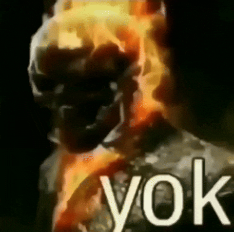 solacefie nope yok ghostrider solacefie GIF