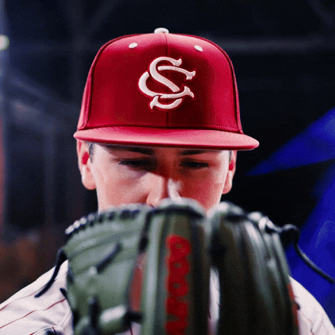 Home Run Celebration GIF by Gamecock Athletics