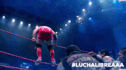 aaa worldwide mexico GIF by Lucha Libre AAA