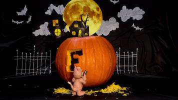 pumpkin fiupanthers GIF by FIU