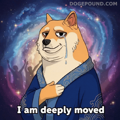Happy Tears Omg GIF by Doge Pound