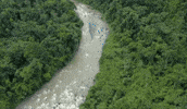 Costa Rica Jungle GIF by GoRafting.com