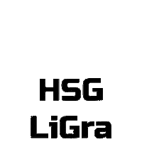 HSGLiGra handball hsg falke lilienthal Sticker