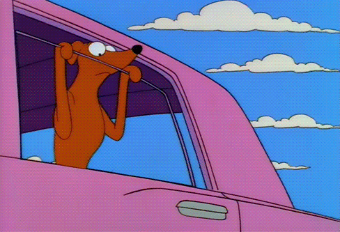 The Simpsons Car Window GIF