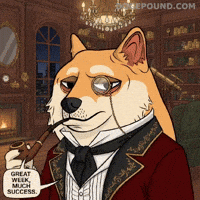Proud Well Done GIF by Doge Pound