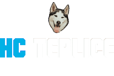 Hokej Sticker by HC Teplice