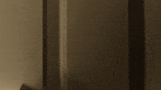 fox mike GIF by The Last Man On Earth