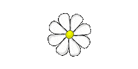 Flower Daisy Sticker by SIMC