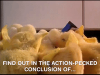 action league now nicksplat GIF