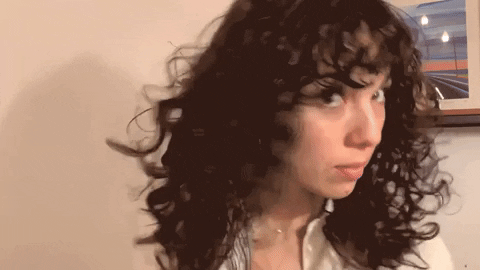 eringlover giphygifmaker curls denman brush sam reed GIF