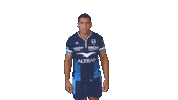Top14 Teammhr Sticker by Montpellier Hérault Rugby