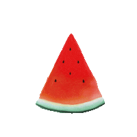Fruit Watermelon Sticker