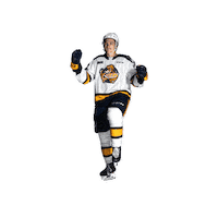 ottershockey ohl erie otters erie otters hockey otters hockey Sticker