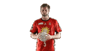 Handball Tusn Sticker by tusnluebbecke