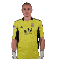 Football Soccer Sticker by Fortuna Liga