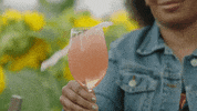 Nbc Wine GIF by Late Night with Seth Meyers