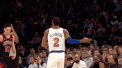 New York Sport GIF by NBA