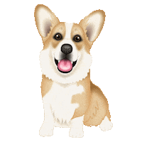 Corgi Sticker by zoopeez