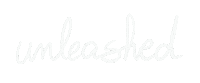 Unleash Phd Student Sticker