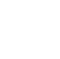 Mexico Morning Sticker by Gallito Cold Brew