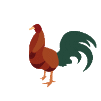 lamiestudio gallo lami gallito lamiestudio Sticker