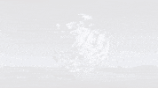 Fitness Health GIF by RENPHO