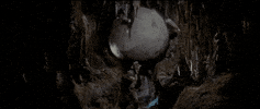 Harrison Ford Rock GIF by Coolidge Corner Theatre
