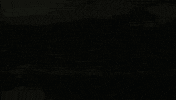 Tauroa tauroa altaussee jausenstation seewiese GIF