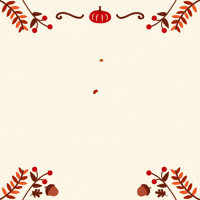 Autumn Thanksgiving GIF by Jessica Lau