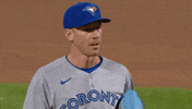 Blue Jays Baseball GIF by Toronto Blue Jays