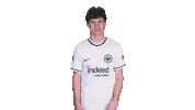 Max Frankfurt Sticker by Bundesliga