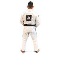 Black Belt Fighting Sticker by Academy Jiu-Jitsu