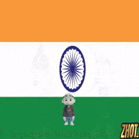 New Delhi India GIF by Zhot