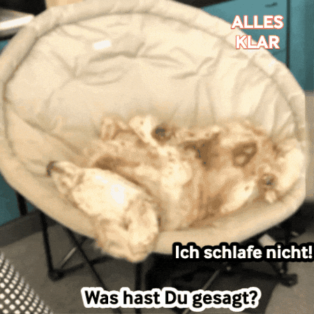 Na Klar What GIF by anndora