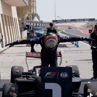 Nikola GIF