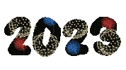 New Year Fireworks Sticker