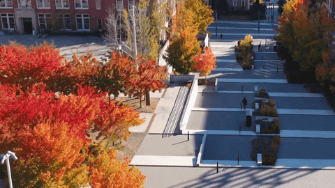 GIF by WSU Pullman