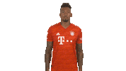 Posing Fc Bayern Sticker by Bundesliga