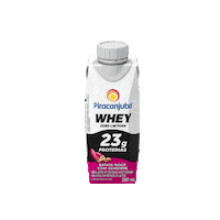 Piracanjuba zerolactose zero lactose banana cacau frutasvermelhas pastadeamendoim batatadoce baunilha piracanjuba piracanjubawhey whey pirawhey protein proteina treino musculacao academia yoga exercicio batatadoce zerolactose zero Sticker