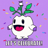 Celebrate Party Party GIF by Magic Eden