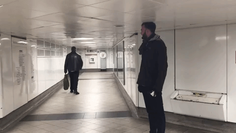 GIF by Tall Guys Free