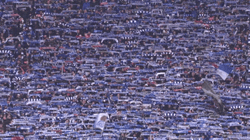 Fans Support GIF by FC Schalke 04